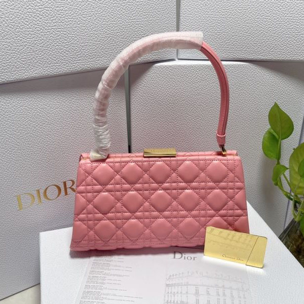 Christian Dior Other Bags - Click Image to Close